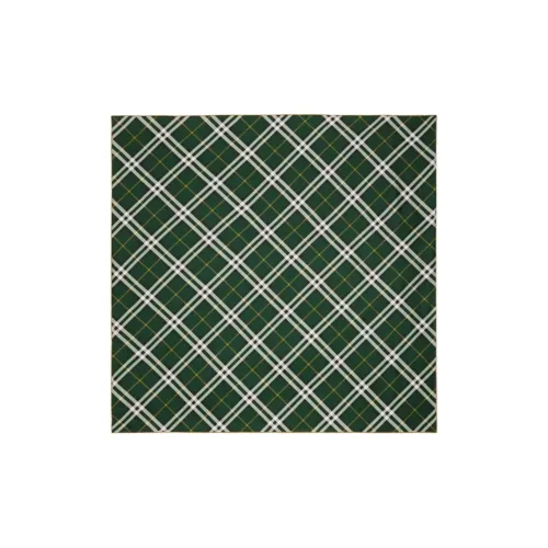 Burberry Silk Silk Scarves Women's Green