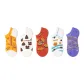 Trendy No-Show Socks D Set-5 Pack