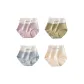 Q Set: Pink+Green+Gray+Light Yellow
