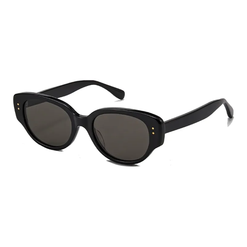 PLASTIC BRAIN Plate Frame Irregular Shape Sunglasses Unisex-0