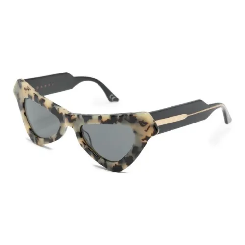 MARNI Eyewear Fairy Pools Triangular-frame Sunglasses