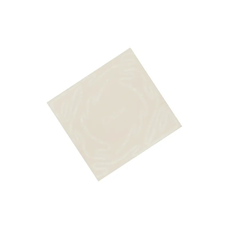 Chloe Wool Silk Cashmere Knit Scarves Women's Beige-2