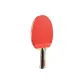 3003 Shakehand Grip Long Handle Side with Long Pips Rubber and One Side with Inverted Rubber