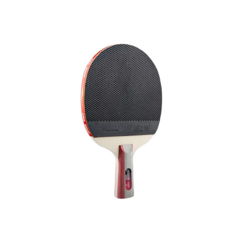 DHS Ping Pong Paddles Unisex All Wood-2