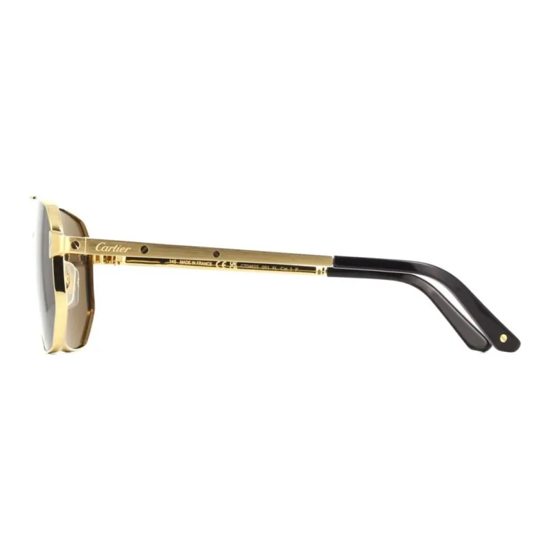 Cartier Pilot frame Sunglasses-2