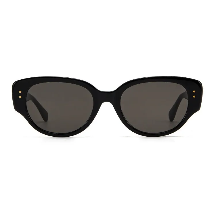 PLASTIC BRAIN Plate Frame Irregular Shape Sunglasses Unisex-1