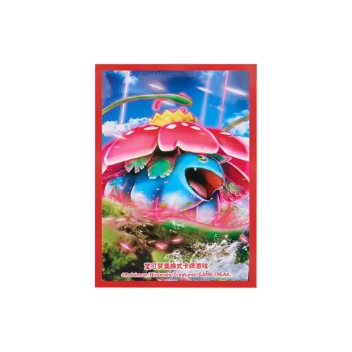 Pokemon Card Accessories