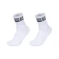 White+White (2 Pack)
