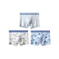 3 Pack (B Set-Gold Ginkgo+Shady Green Trees+Early Summer Lotus Leaves)