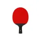 Arthur Nine-Star Single Racket[Penhold Grip]