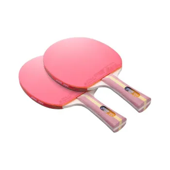 DHS Ping Pong Paddles