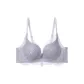 Gray Blue 89A