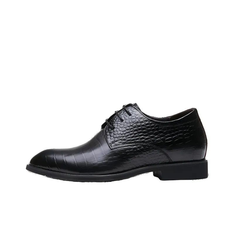 AOKANG Dress Shoes Men Low Top None-0