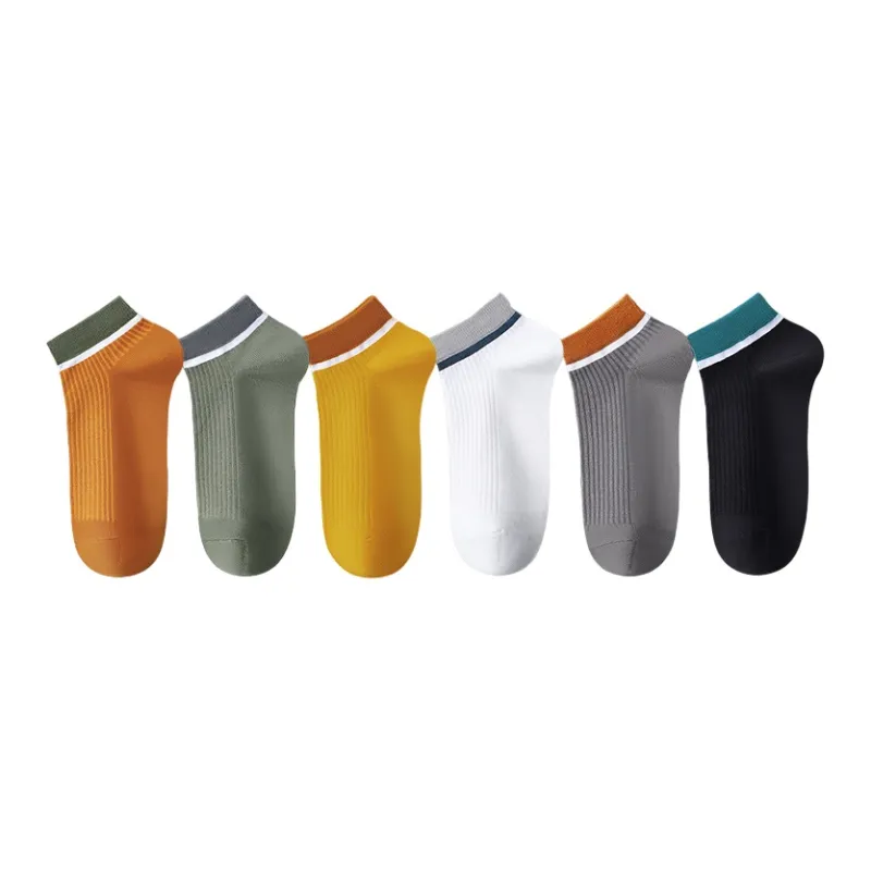 Lanza Men Socks-3