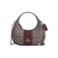 Bag+Dust Bag