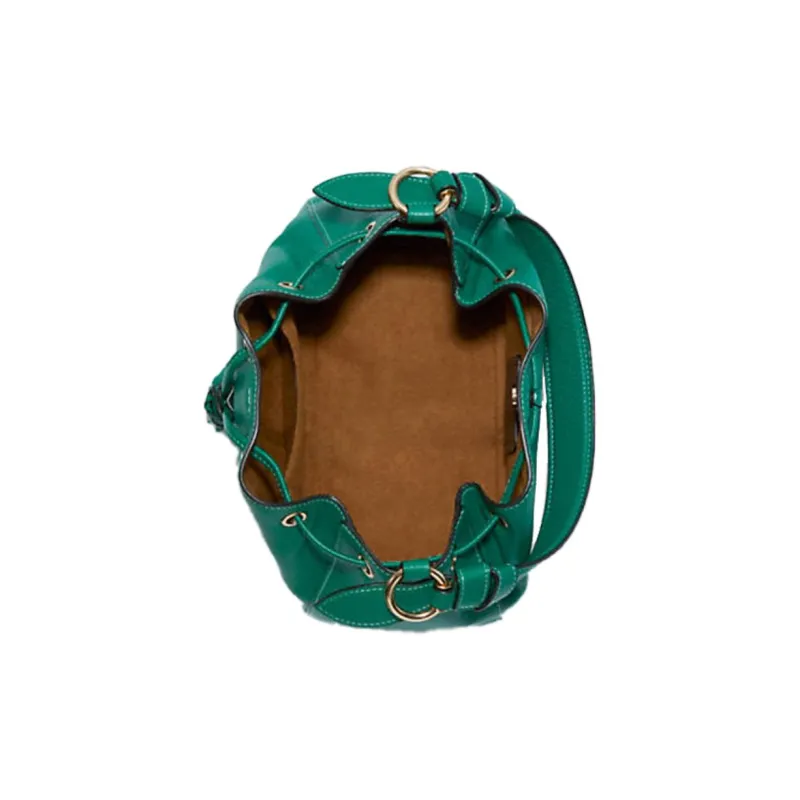 COACH Leather One Shoulder Crossbody Bag Crossbody Bag Bucket Bag Handbag Regular Women's Emerald Green-3
