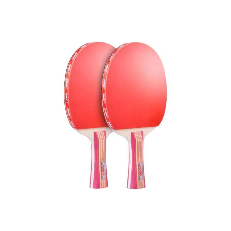 DHS Ping Pong Paddles-4