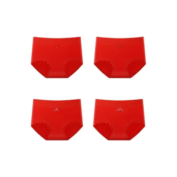 Ordifen Women's Underpants