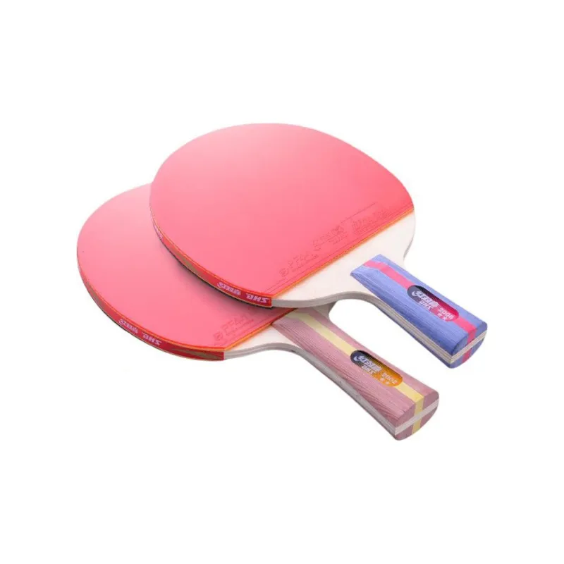 DHS Ping Pong Paddles-16