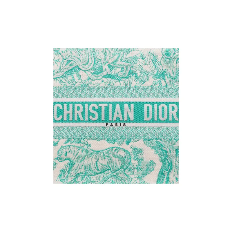 DIOR BookToteDIORIVIERA Embroidery Totes Handbags Medium Size Women's Mint Green-4