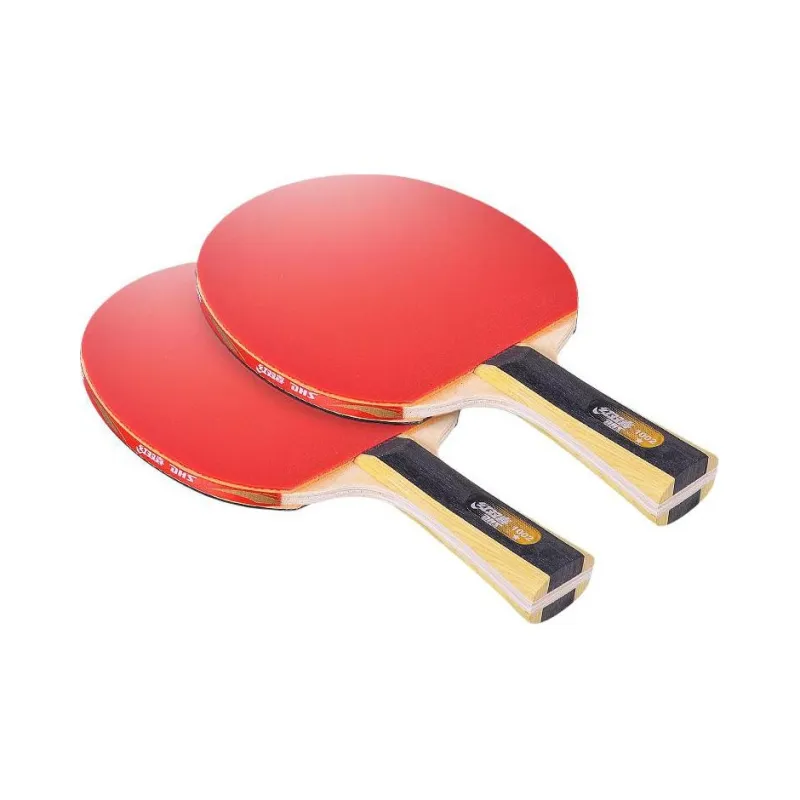 DHS Ping Pong Paddles-9