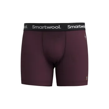 SMARTWOOL Underpants Men's 1 Pack