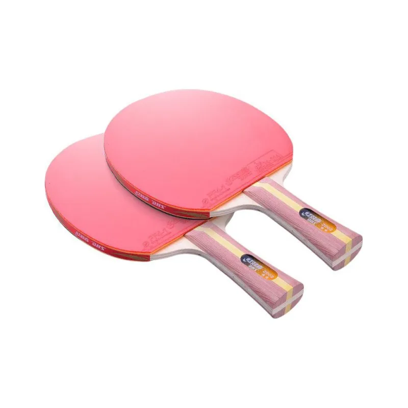 DHS Ping Pong Paddles-14