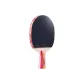 Entertainment Training Model II Type[Penhold Grip 1 Pack]
