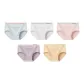 5 Pack (Blue+White+Pink+Purple+Yellow)
