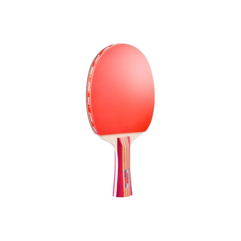 DHS Ping Pong Paddles-0