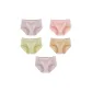 5 Pcs Set[Lotus Root Powders+Light Pink+Fruit Green+Apricot+Lotus Root Powders]