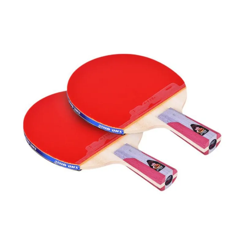DHS Ping Pong Paddles-24