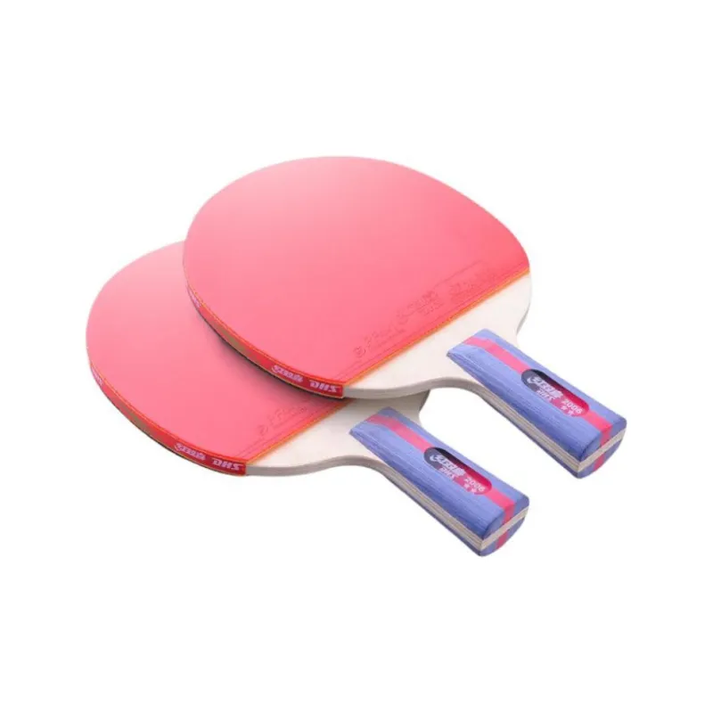 DHS Ping Pong Paddles-15