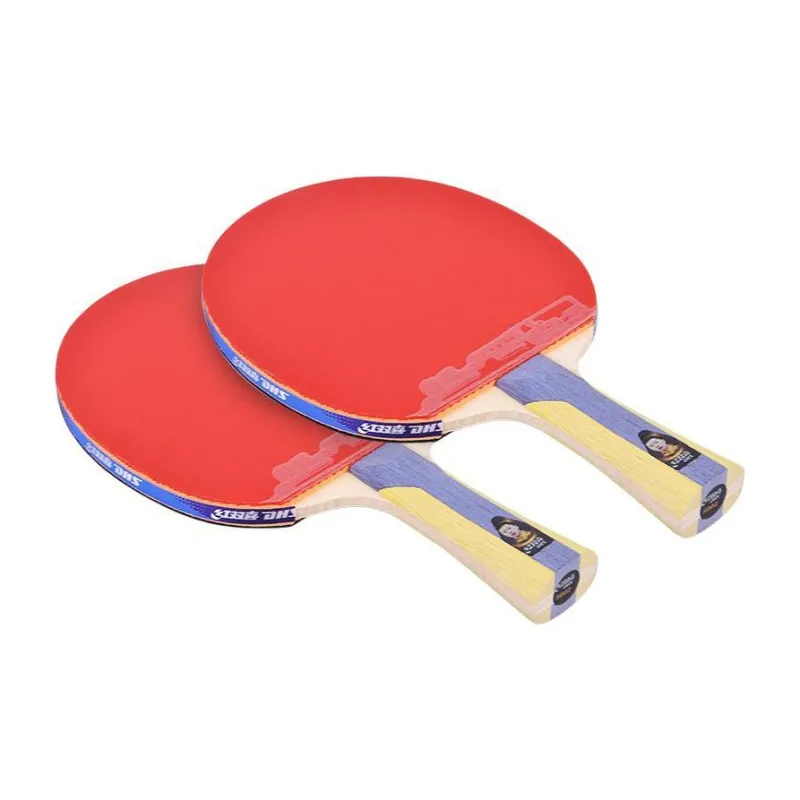 DHS Ping Pong Paddles-23