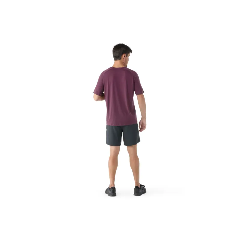 SMARTWOOL Raglan Sleeve T-Shirt Men's-5