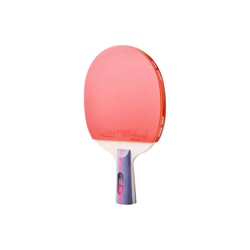 DHS Ping Pong Paddles-13