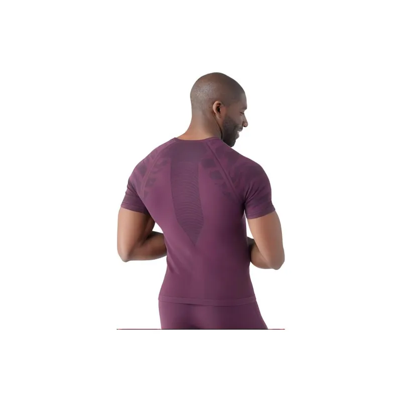 SMARTWOOL Raglan Sleeve T-Shirt Men's-1