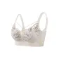 Champagne White