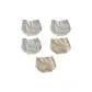 5 Pcs (White+White+White+Skin+Skin)