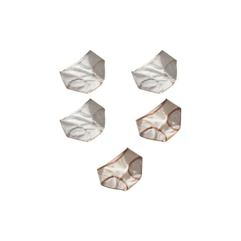 MIIOW Cool One Summer Series Underpants Women's 5 Pack