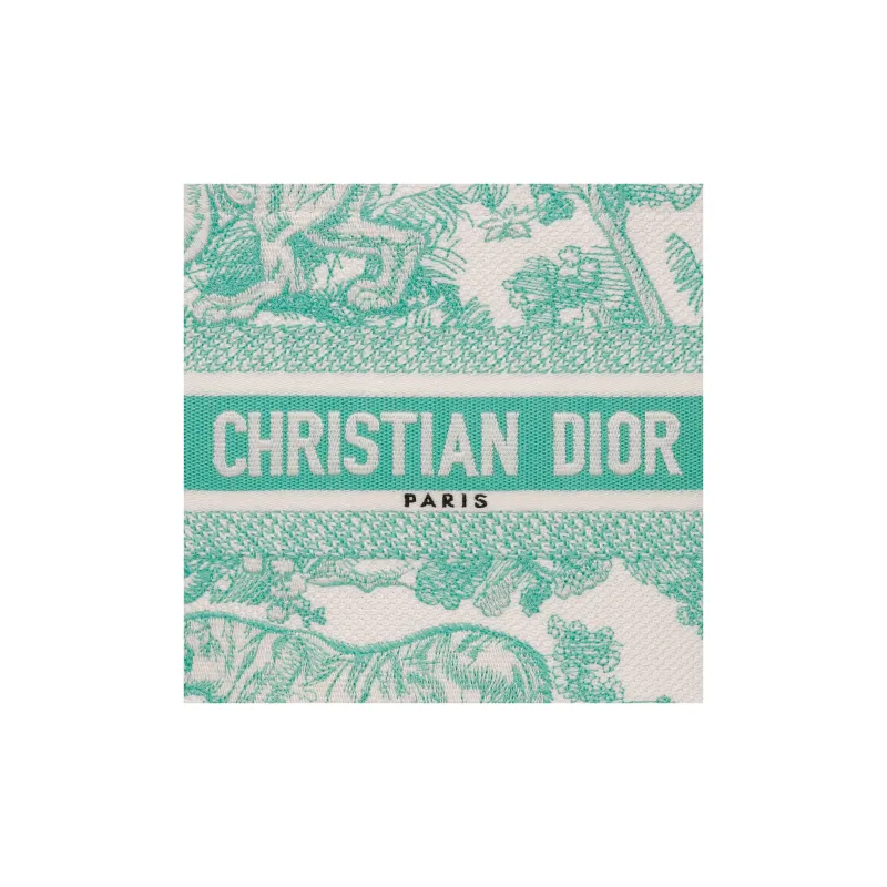 DIOR DIORIVIERA Aquamarina Toile De Jouy Embroidery Totes Handbags Women's Mint Green-5