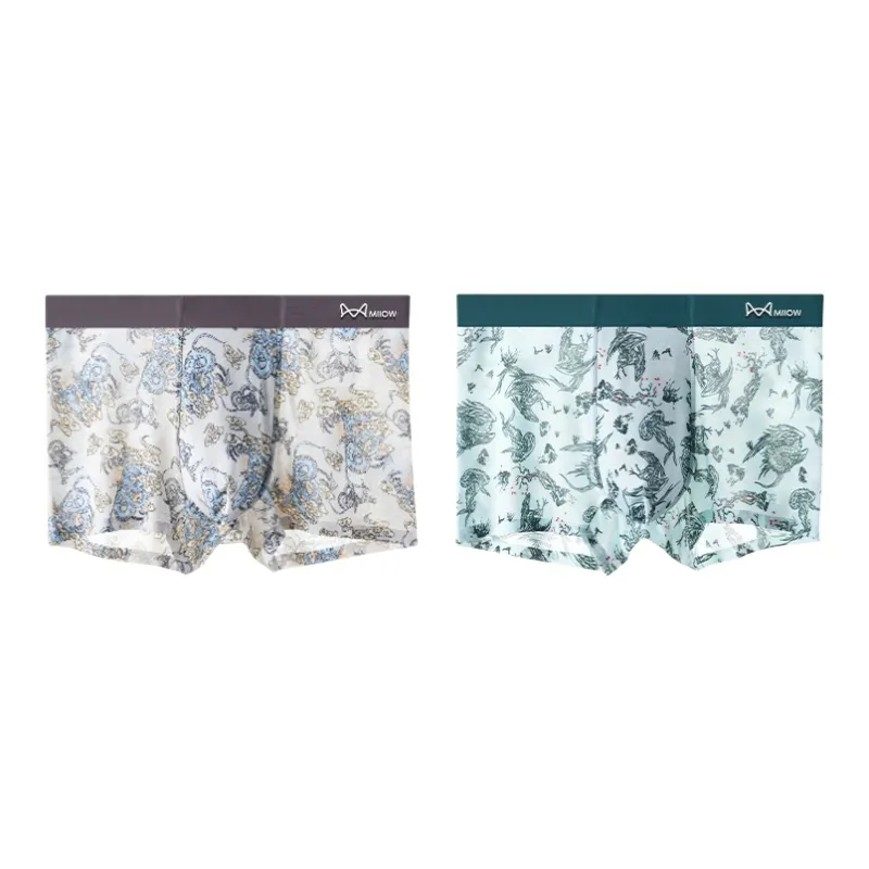 MIIOW Cool One Summer Series Underpants Men's 2 Pack-5