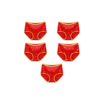 MIIOW Underpants Women's 5 Pack