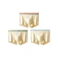 3 Pack (Orange+Fruit Green+Cerulean)