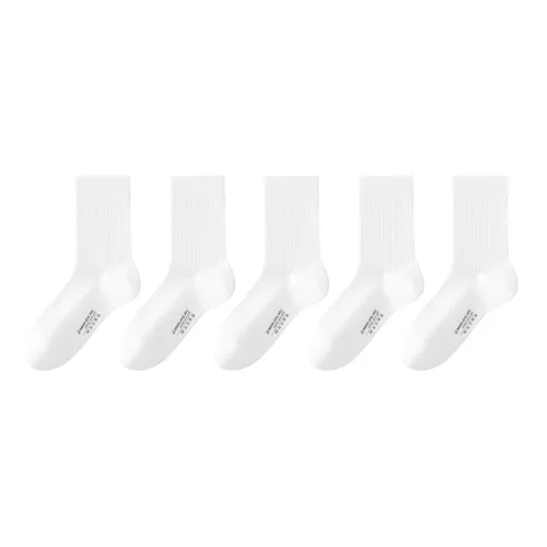 B&C.Room Mid Calf Socks Women's 5 Pack