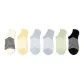 Dopamine Dressing Stripes No-Show Socks E Set