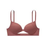 91Q7 Vintage Rose