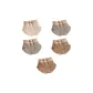 5 Pack (Skin+Gray+Gray+Coffee+Coffee)
