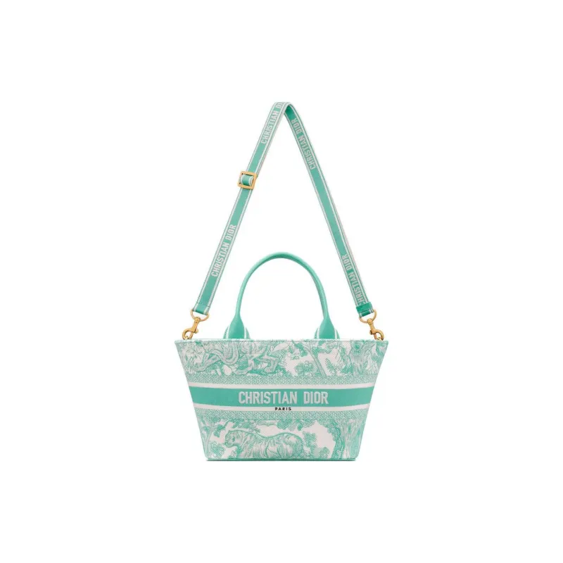 DIOR DIORIVIERA Aquamarina Toile De Jouy Embroidery Totes Handbags Women's Mint Green-1