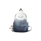 Gray White Gradient+Cheering Duck Charm